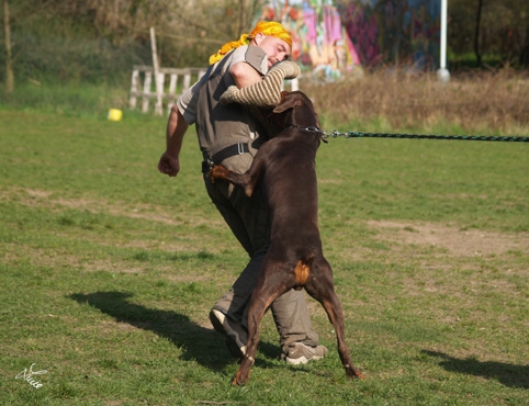 Training 4. 4. 2007